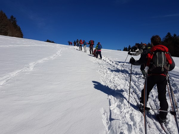 Suite séjour Grand Paradis 2016 - 5 février 2017