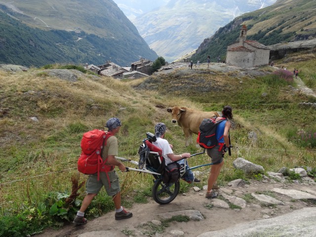 Haute-Maurienne du 1er au 8 août 2015 - 26 août 2015