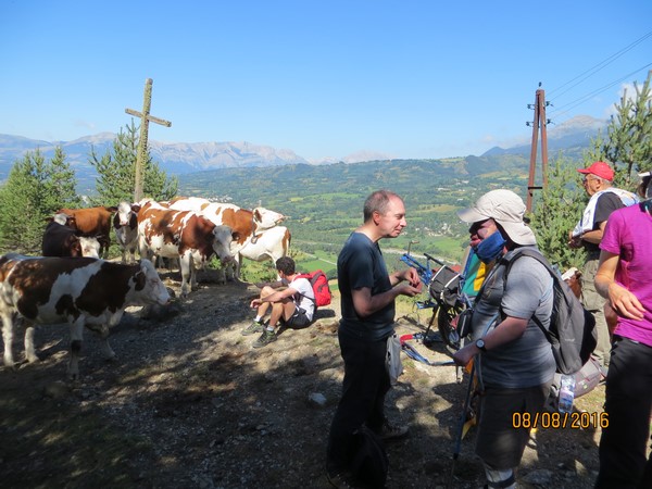 Champsaur du 06 au 13 août - 22 août 2016